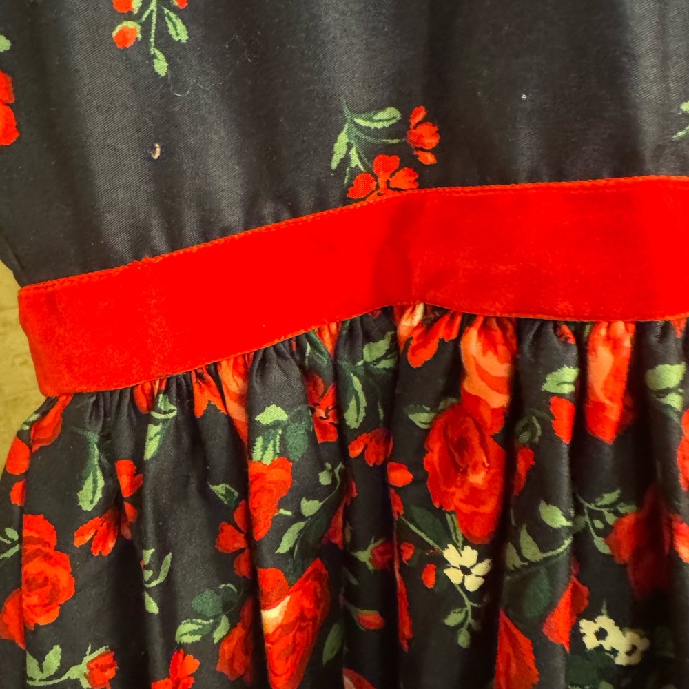 Floral Janie and Jack American Girls Sleeveless Dress with Red Rose Accents - Picture 7 of 7